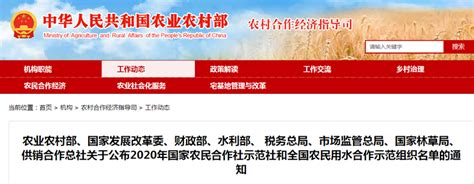 中国农业大学新闻网 媒体农大/科技之窗 张福锁院士：科技小院的名字是农民取的