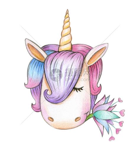 鱼尾独角兽头图片