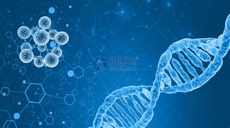 生物细胞结构图图片