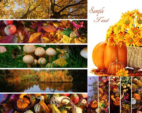 秋天，收获的季节。|摄影|静物|大樹 - 原创作品 - 站酷 (ZCOOL)