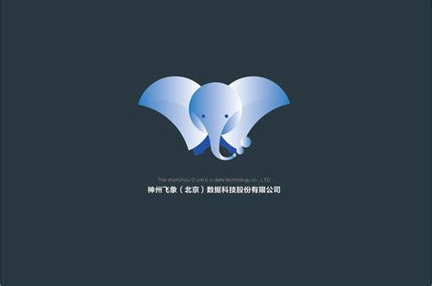 傅韵 - 大象点映(上海)网络技术有限公司 - 法定代表人/高管/股东 - 爱企查