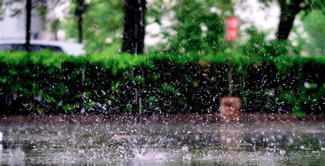 夏季雨天雨水滴水屋檐意境mp4格式视频下载_正版视频编号3600592-摄图网