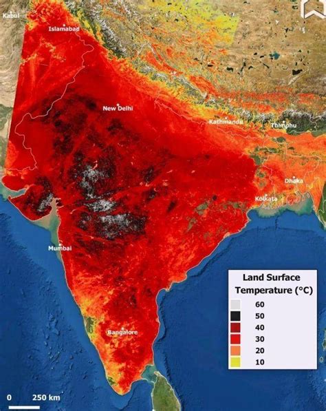 印度北部遭受极端热浪侵袭，2邦3天内已有98人死于高温_全球速报_澎湃新闻-The Paper