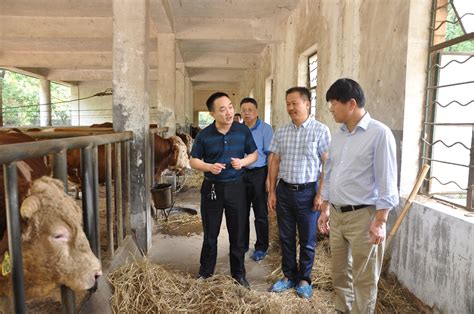 2018年湖南省农业行业职业技能大赛家畜繁殖员比赛在我所成功举办_湖南省畜牧兽医研究所
