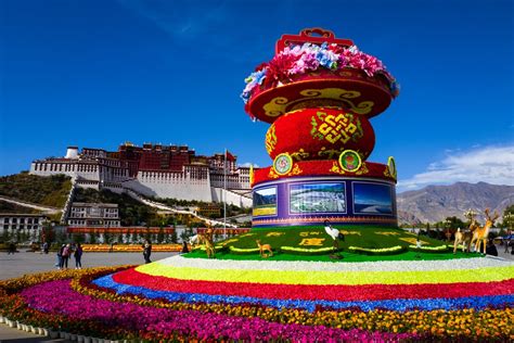 我们有故事｜我在拉萨过春节_原创_中国西藏网