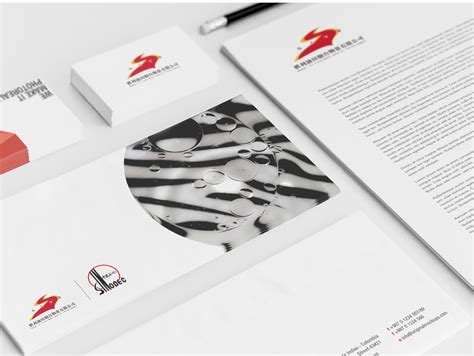 东营企业宣传画册设计案例-东营远见网络公司