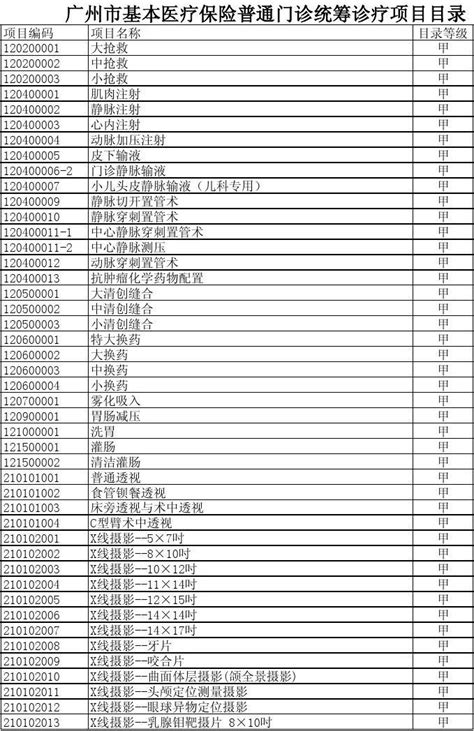 关于印发《甘肃省医疗保障经办政务服务事项清单（2023版）》的通知-公文发布