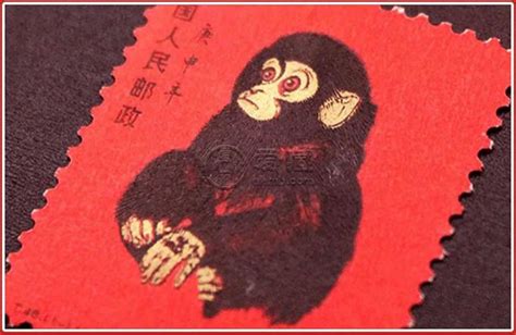 重大突破！世界首例体细胞克隆猴在中国诞生！_手机新浪网