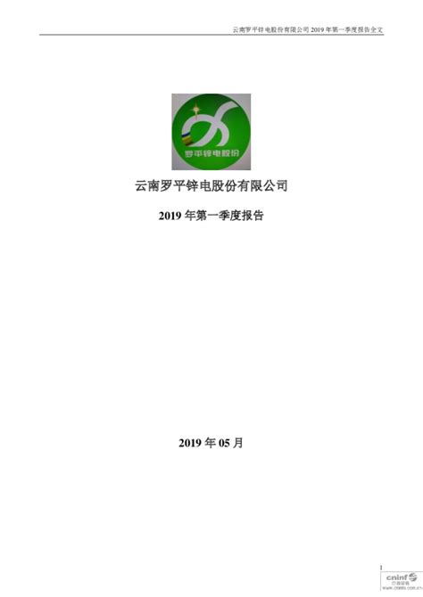 2013-12-31 财报
