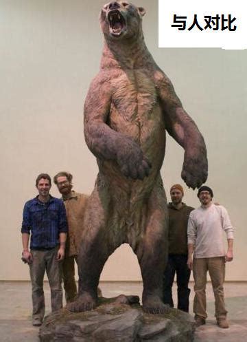 恐怖的远古巨熊, 有四米多高, 一掌下去能拍死一只大象!|棕熊|巨熊|南美_新浪新闻