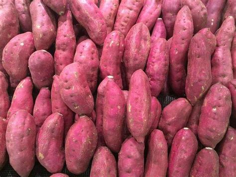 红薯是个宝，健康少不了？拯救中国人的红薯，到底有啥营养价值？_心脏_抵抗力_膳食