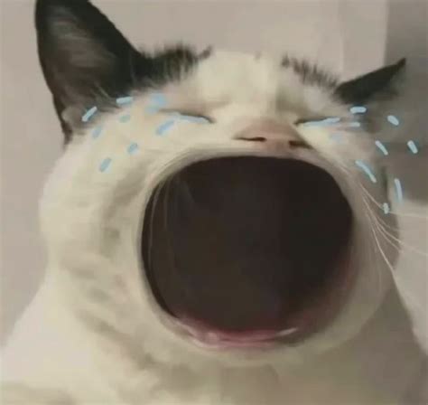 暴躁表情包图片