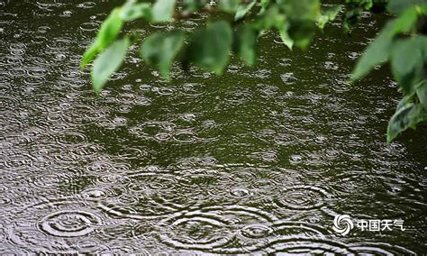 【夏雨天摄影图片】广州生态摄影_太平洋电脑网摄影部落