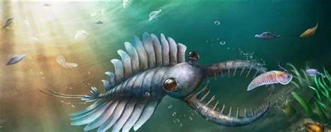 天一讲堂：寻找四亿年前的祖先鱼类之旅[图]