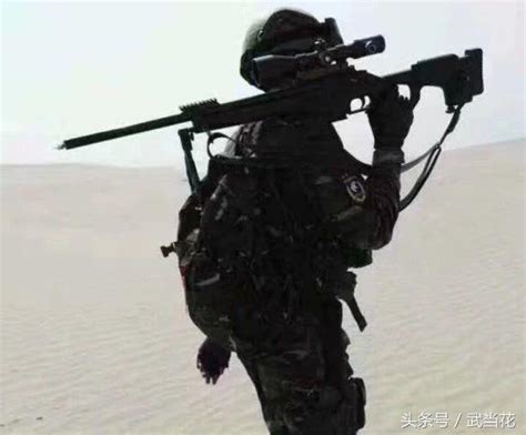 中国人民武装警察部队特警部队 雪豹突击队 - 队员_DAMTOYS-站酷ZCOOL