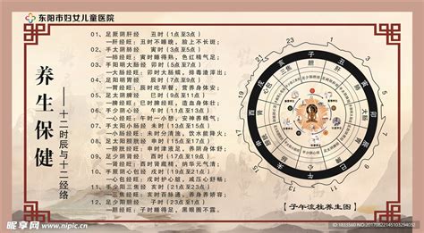 子午流注图图片