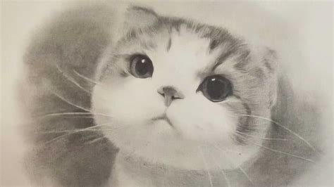 猫的素描头像图片