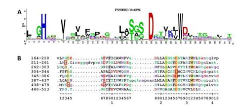 基于线粒体COI和12S rDNA基因构建珠江河口鱼类DNA宏条形码数据库