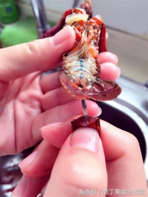 小龙虾到底有多脏！教你一招，轻松解决寄生虫！吃的干净又放心！ 在炎热的夏天