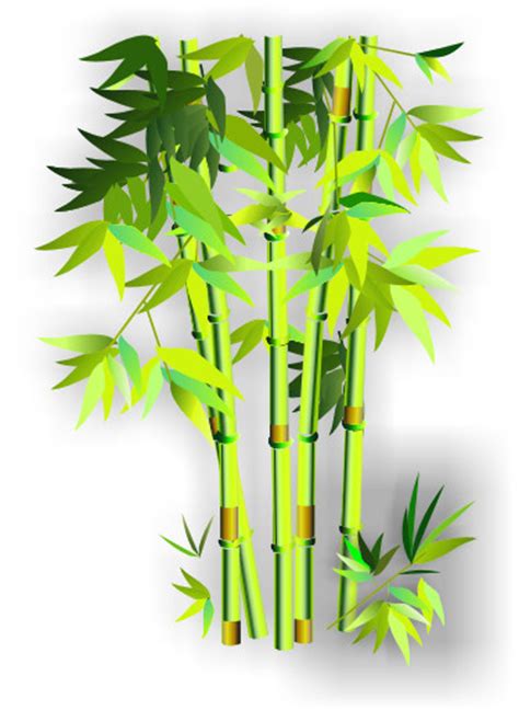 园林绿化中翠竹有什么具体应用？-绿宝园林网