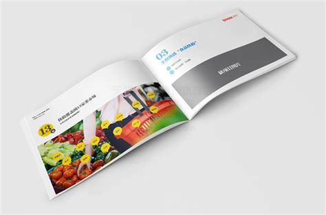 杨凌-电子科技公司产品展示画册设计-品牌设计帮