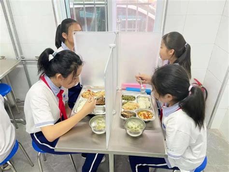 中小学应当建立集中用餐陪餐制度-教育装备商情网