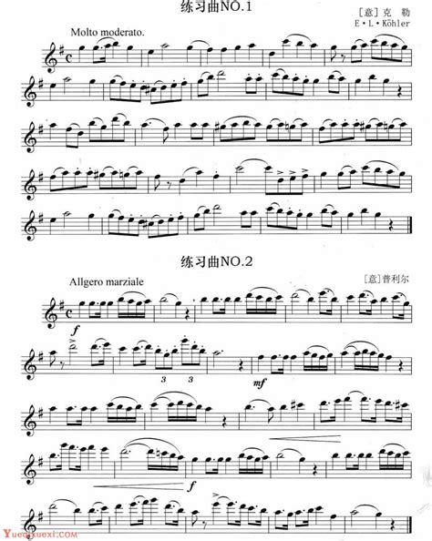 长笛考级二级练习曲四首-长笛曲谱 - 乐器学习网