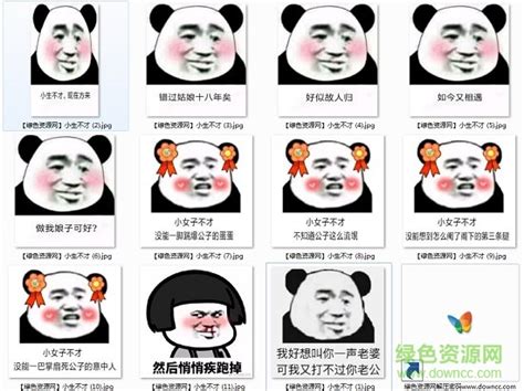 小生不才表情包下载-熊猫人小生不才表情包下载-绿色资源网