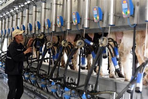 奶牛工厂高清图片下载-正版图片304163780-摄图网