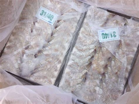 批发供应礼品虾 对虾礼盒（4条/盒） 冷冻对虾 冷冻海鲜-阿里巴巴