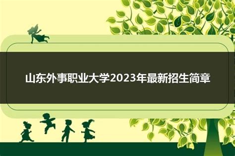 山东外事职业大学2022年最新招生计划（录取原则）_山东职校招生网