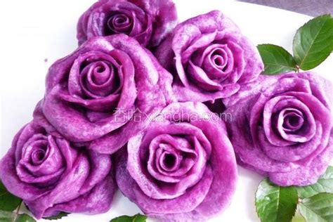 11朵紫玫瑰的花语是什么，代表什么意思？-六朵花