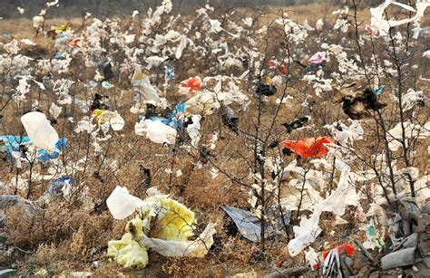 【环保科普】塑料污染知多少？_澎湃号·政务_澎湃新闻-The Paper