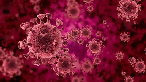 正确认识H9N2禽流感病毒-现代畜牧网-cvonet.com-全球畜牧与肉类食品舆情专业网站