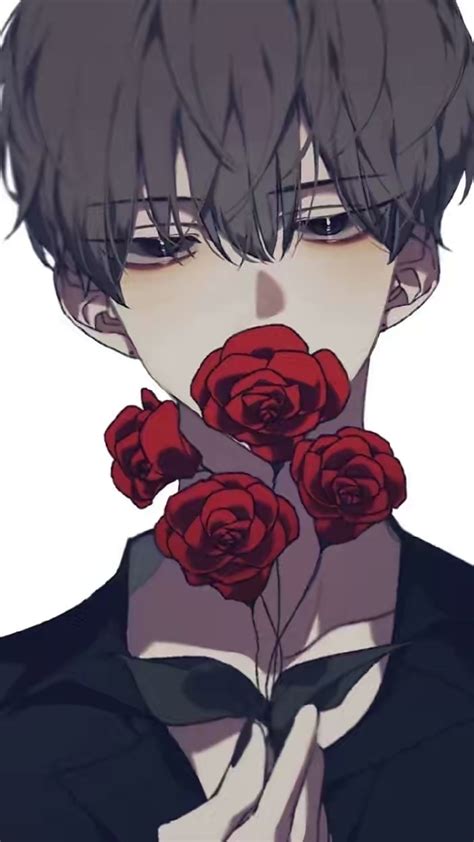 玫瑰少年梦图片