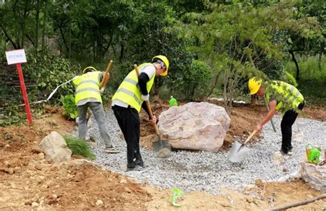 园林绿化施工过程全记录-施工技术-筑龙建筑施工论坛