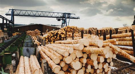 德国木材行业销售额增至450多亿欧元_木材之家