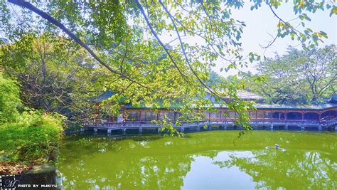 重庆十大最美公园出炉，它排名第一实至名归