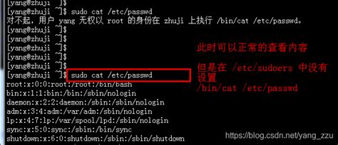 linux篇【2】：shell命令初步认识，Linux权限_linux中sheel命令判断用户-CSDN博客