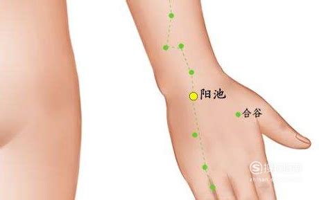 阳池准确位置图片