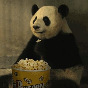 搞笑熊猫人