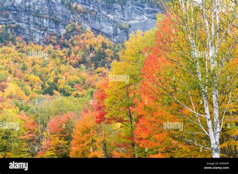 Grafton Notch State Park High Resolution Stock Photography and Images ...
