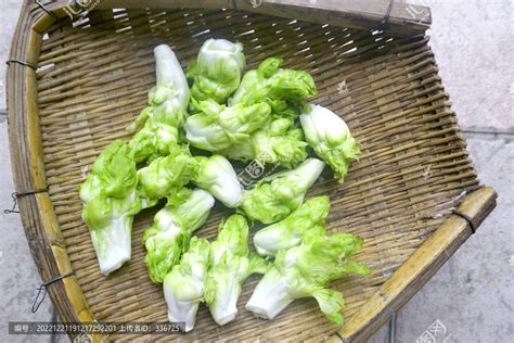 第八届四川蔬菜博览会 绿色盛宴点亮金秋彭州|蔬菜|四川|彭州_新浪新闻