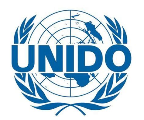 国际组织 | 联合国机构宣讲咨询活动