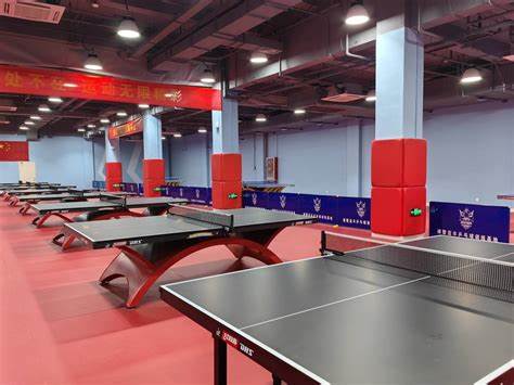 南海新区乒乓球训练基地