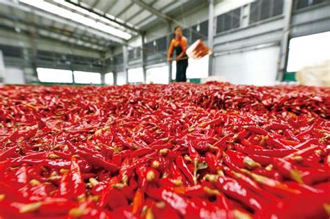 贵州省遵义市各类辣椒制品迎来销售旺季-中国质量新闻网