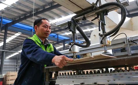 广西柳城县力争打造产值破百亿木材加工产业集聚基地-木业网