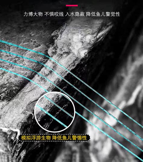 【成品线组】千鲤莱 主线组 竞技台钓线组 加固PE线组 黑坑线组 3.6米-鱼线鱼钩-优个网