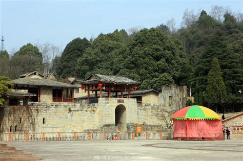 贵州清镇：红枫山韵茶飘香-国际在线