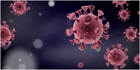 复旦大学和上海交通大学团队使用mRNA首次实现新型冠状病毒（SARS-CoV-2）病毒样颗粒的表达